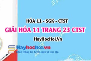 Giải Hóa 11 trang 23 SGK Chân trời sáng tạo